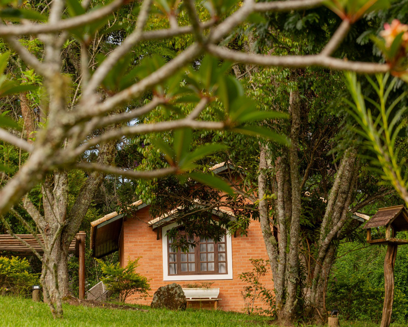 WhatsApp Image 2026-03-09 at 21.36.12