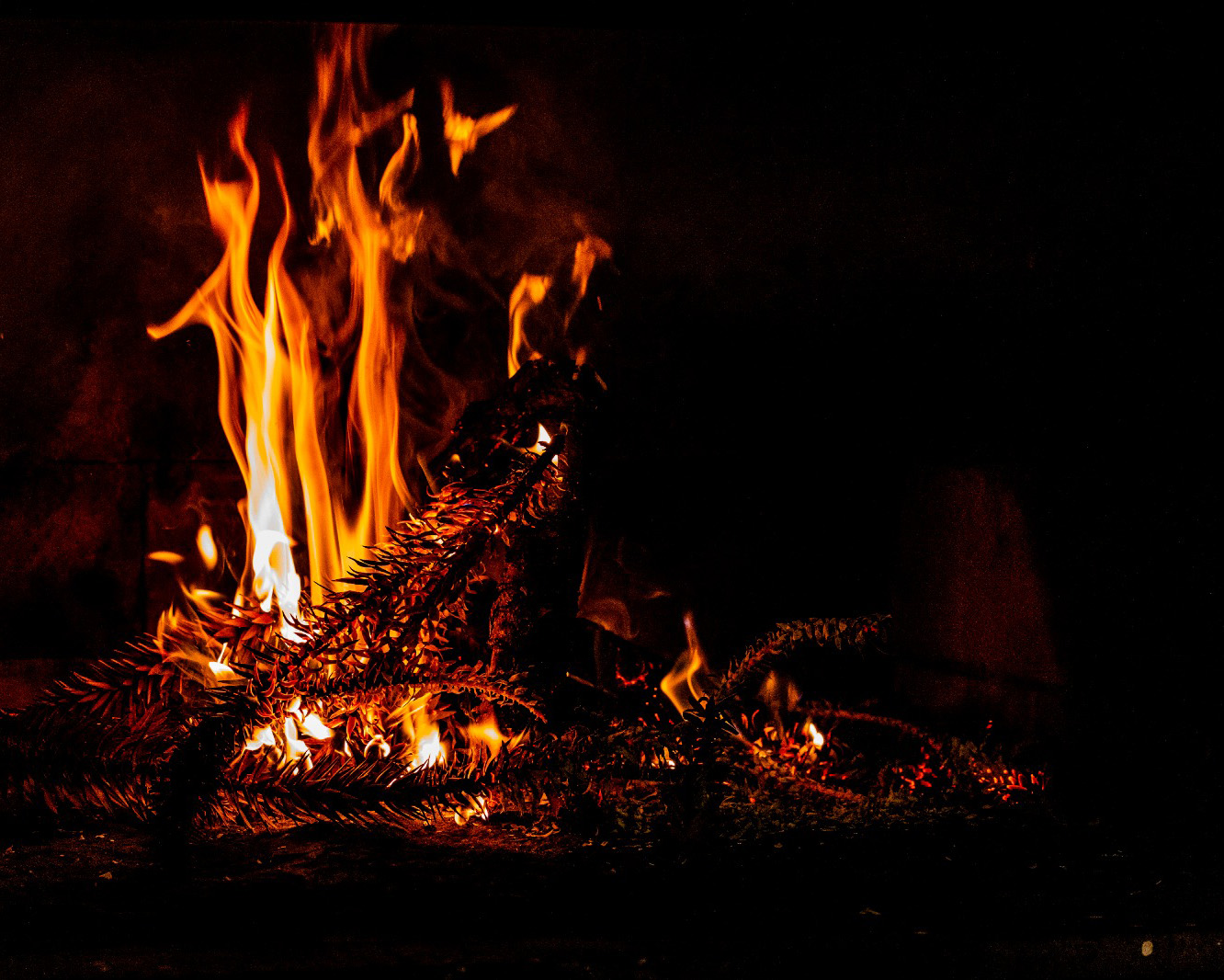 WhatsApp Image 2026-03-09 at 21.40.42 (1)