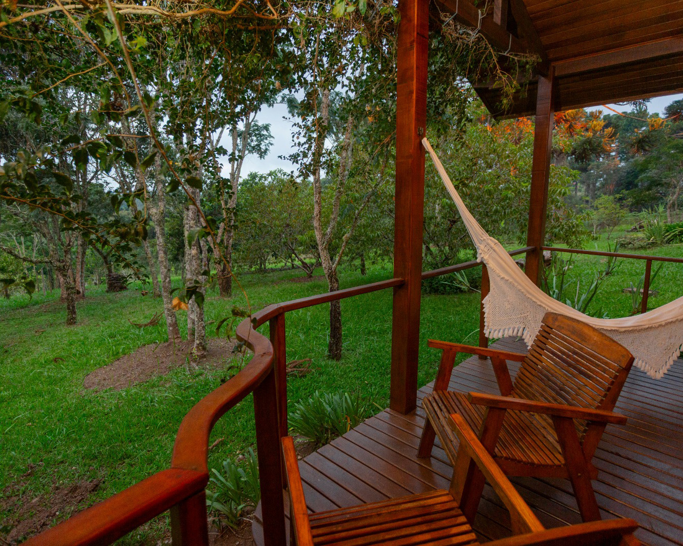 WhatsApp Image 2026-03-09 at 21.41.35 (1)