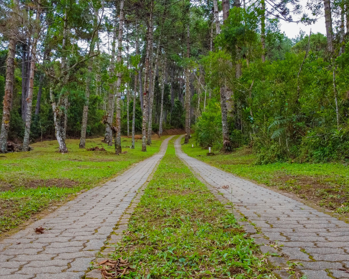 WhatsApp Image 2026-03-09 at 21.45.28 (4)