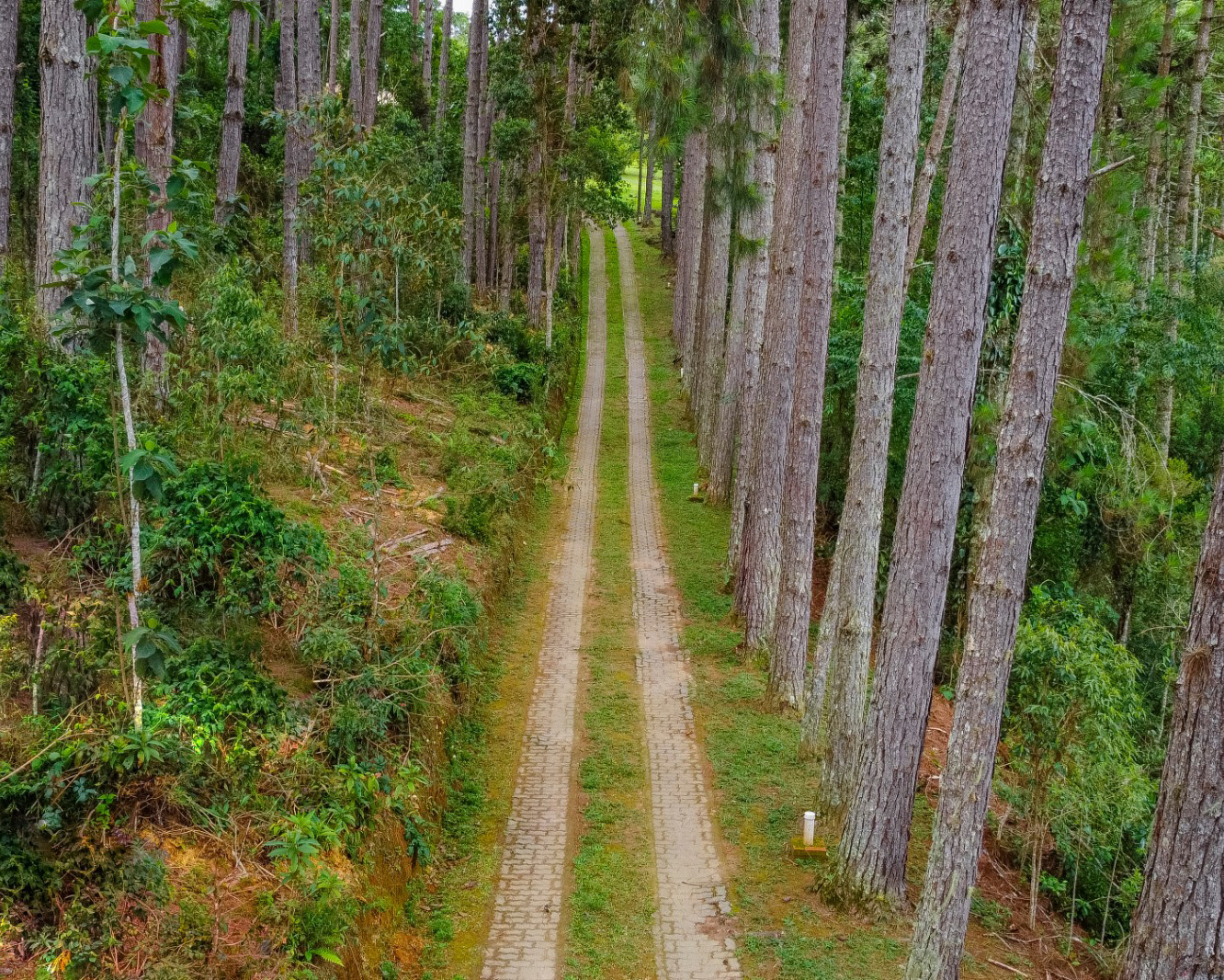 WhatsApp Image 2026-03-09 at 21.45.28 (5)