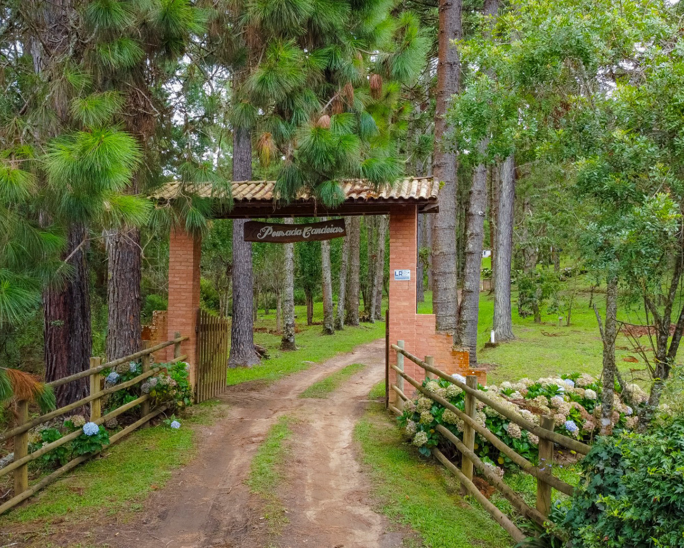 WhatsApp Image 2026-03-09 at 21.49.42